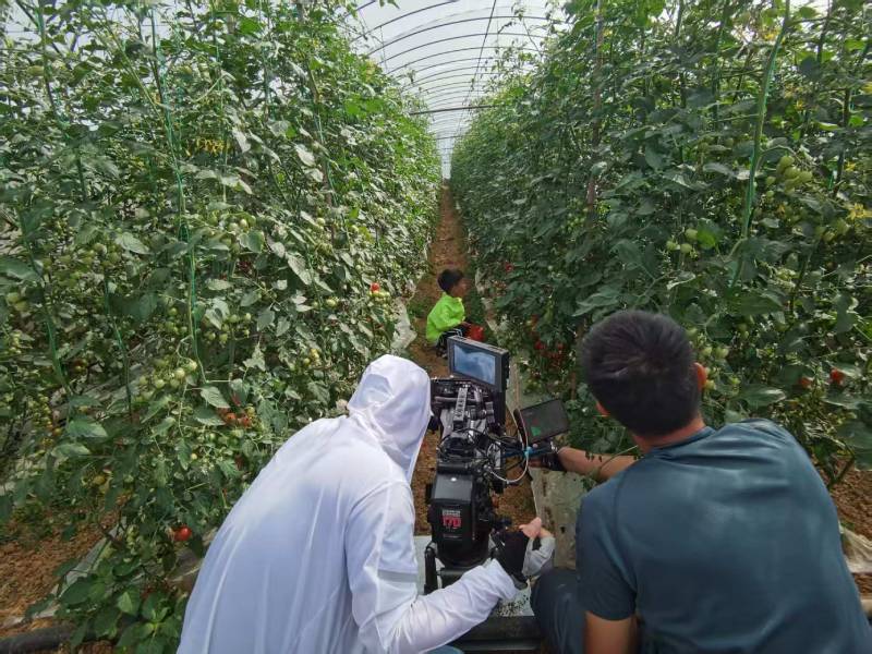 鹤壁产品宣传视频拍摄公司进阶指南，助力品牌抢占传播高地